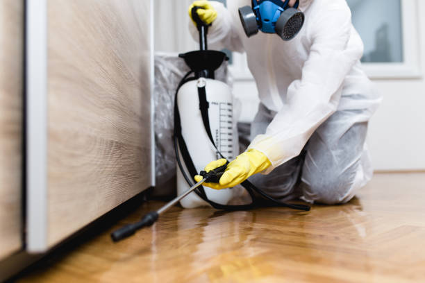 Best Pest Control Near Me in Crystal Falls, MI