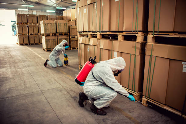 Best Best Pest Control Companies  in Crystal Falls, MI