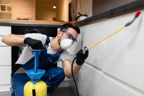 Pest Control for Restaurants in Crystal Falls, MI