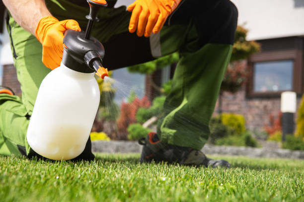 Best Bed Bug Extermination  in Crystal Falls, MI