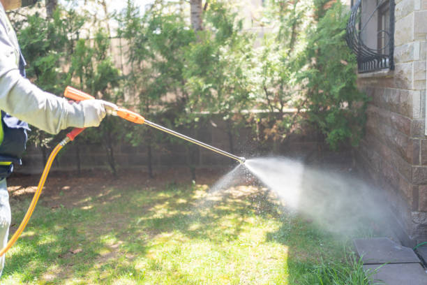 Best Emergency Pest Control  in Crystal Falls, MI