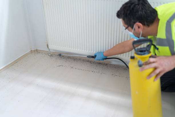 Best Pest Removal Services  in Crystal Falls, MI