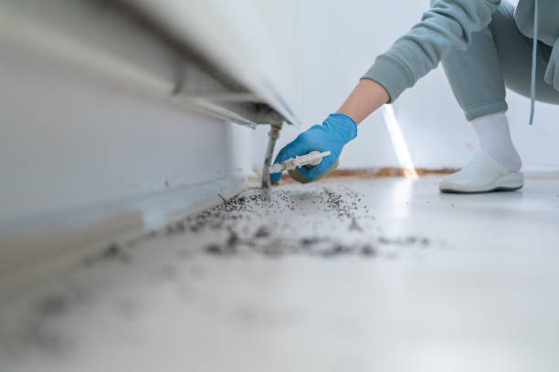 Best Residential Pest Control  in Crystal Falls, MI