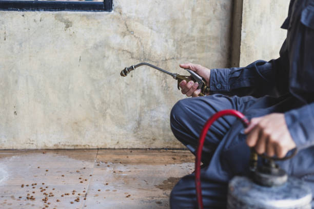 Best Termite Control Services  in Crystal Falls, MI